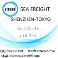 Consolidação de LCL Porto de Shenzhen para Tóquio